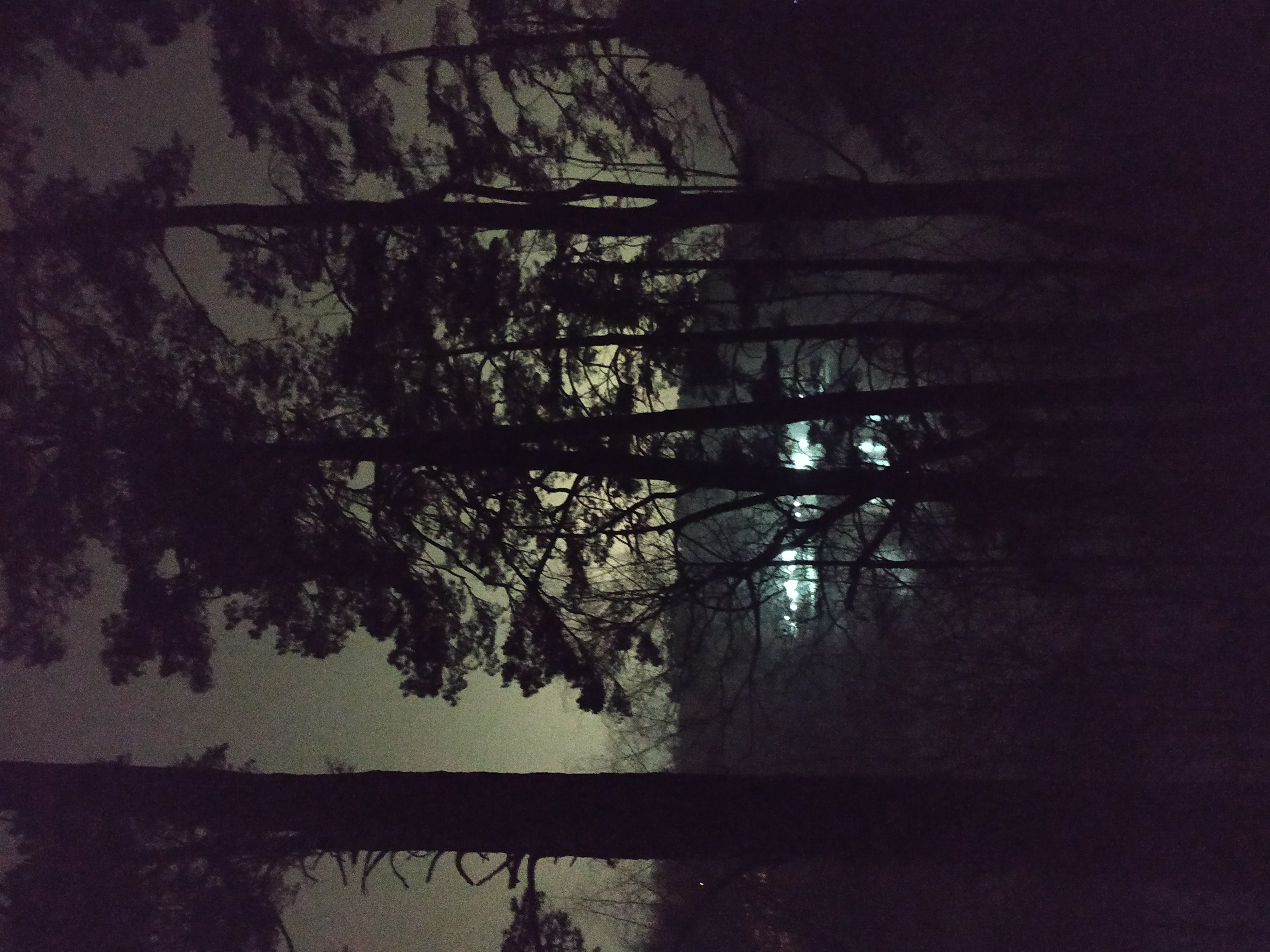 Красота ночная