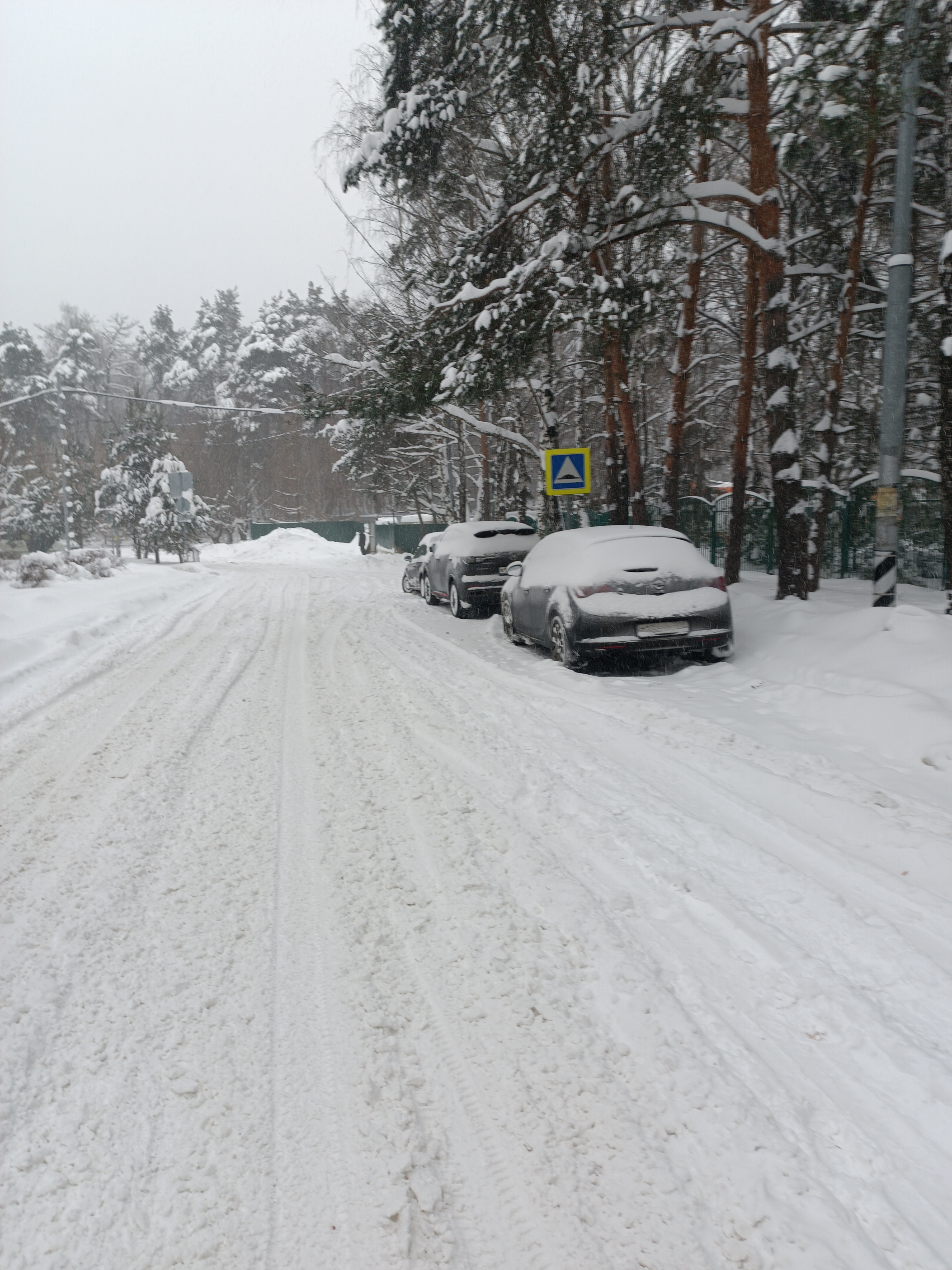 Слышал, что дворники стали много получать, а вот работать, такое впеча