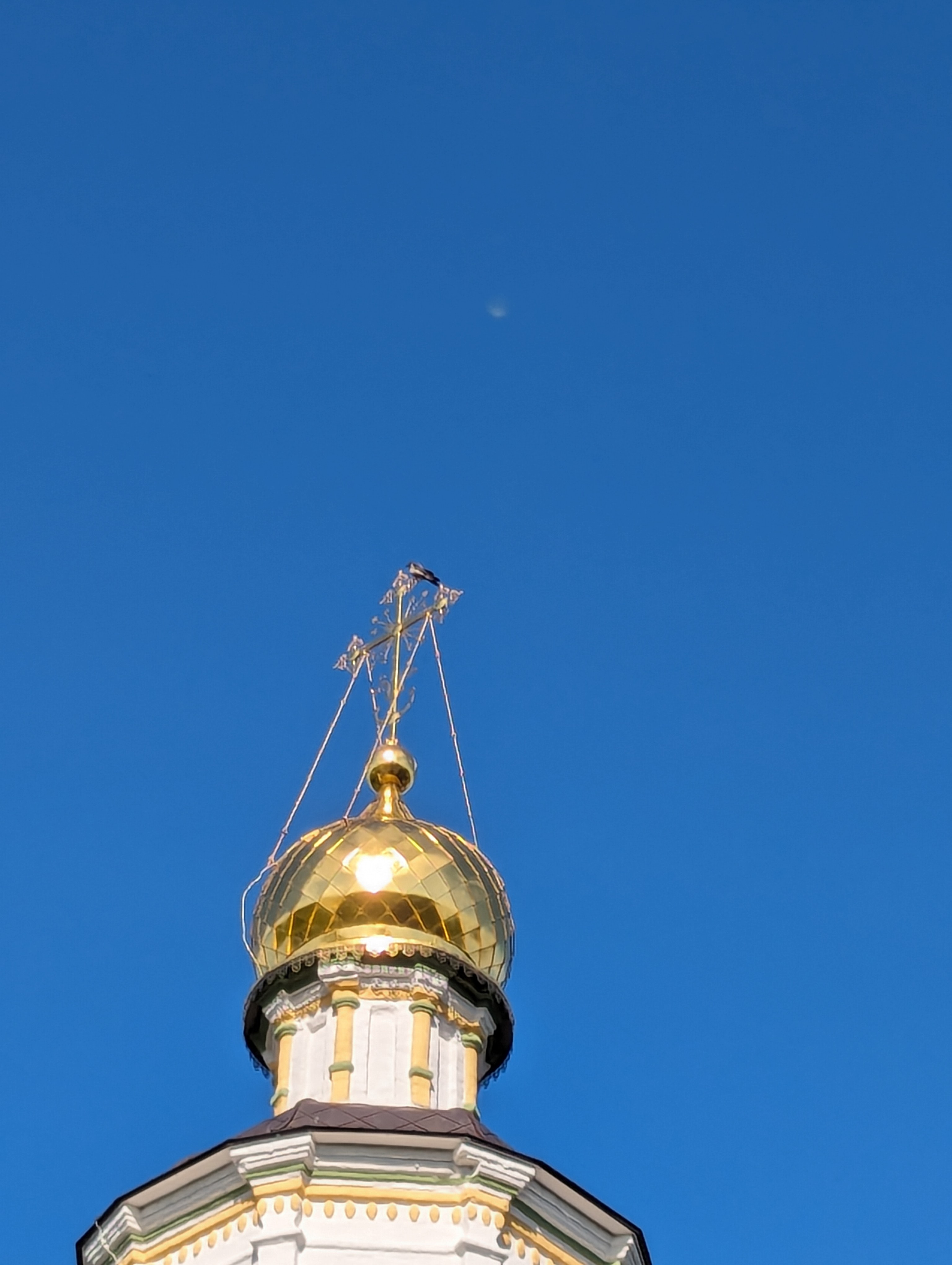 Спаси нас, Господи!